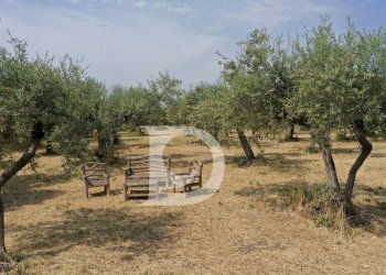 Foto 1 - Terreno edificabile Str. dei Fiori, Collecorvino - foto 1