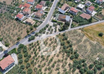 Foto 4 - Terreno edificabile Str. dei Fiori, Collecorvino - foto 4