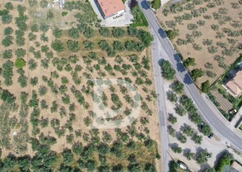 Foto 5 - Terreno edificabile Str. dei Fiori, Collecorvino - foto 5