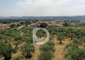 Foto 10 - Terreno edificabile Str. dei Fiori, Collecorvino - foto 10