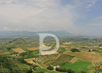 Foto 13 - Terreno edificabile Str. dei Fiori, Collecorvino - foto 13