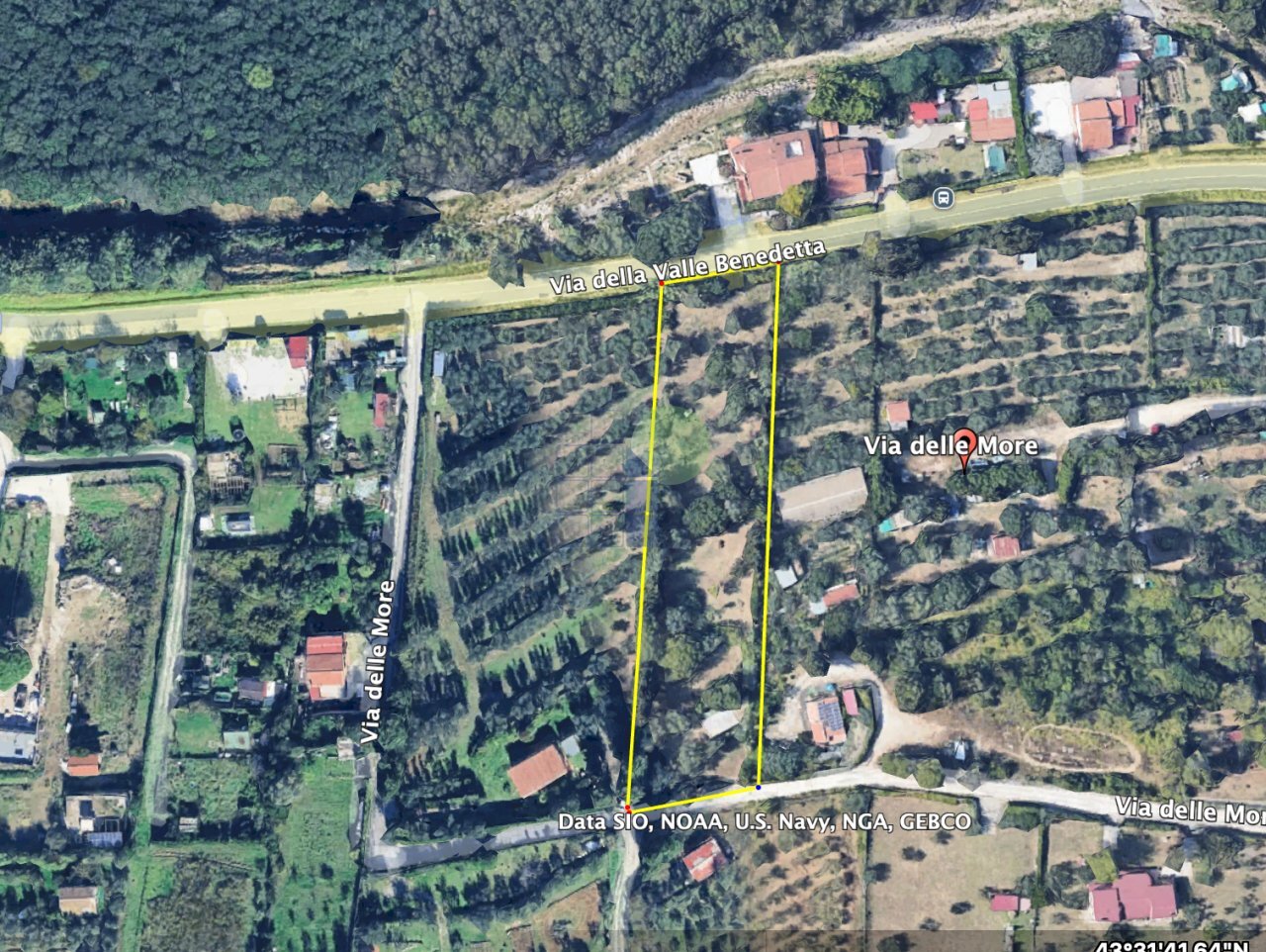 Screenshot 2026-06-15 alle 18.28.51 - Agricultural land Via delle More 8, Livorno - floor plans 1
