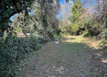 terrazzamento lle spalle dell\'annesso - Agricultural land Via delle More 8, Livorno - photo 20
