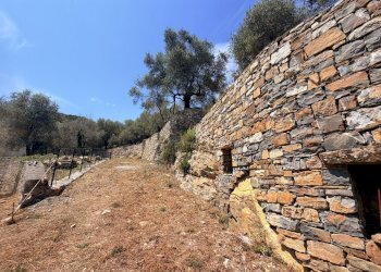 IMG_7033 - Villa Strada Interpoderale Moltedo - Ciai 13, Diano San Pietro - foto 5