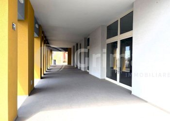 WhatsApp Image 2026-03-23 at 11.30.43 (5)_risultat - Show room via lepanto 0, Gallipoli - foto 2