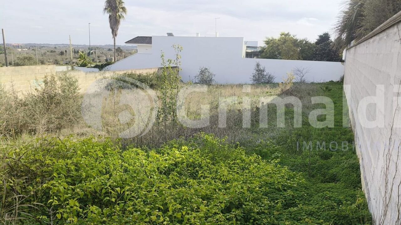 IMG-20251117-WA0042_risultato.jpg - Building land via enaudi 0, Collepasso - photo 1