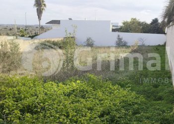 IMG-20251117-WA0042_risultato.jpg - Building land via enaudi 0, Collepasso - photo 1