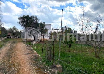 IMG-20251107-WA0017_risultato.jpg - Terreno edificabile località cimino 0, Sannicola - foto 8