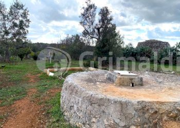 IMG-20251107-WA0038_risultato.jpg - Terreno edificabile località cimino 0, Sannicola - foto 18