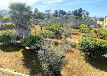 IMG-20250414-WA0017_risultato.jpg - Villa strada provinciale 361 0, Gallipoli - foto 5
