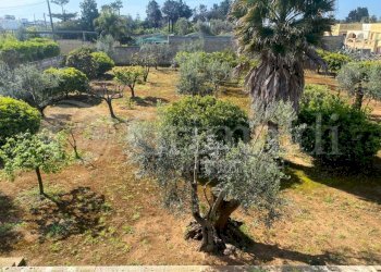 IMG-20250414-WA0021_risultato.jpg - Villa strada provinciale 361 0, Gallipoli - foto 8