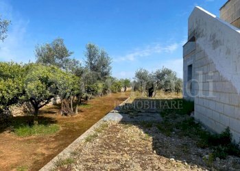 IMG-20250414-WA0028_risultato.jpg - Villa strada provinciale 361 0, Gallipoli - foto 13