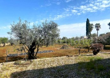 IMG-20250414-WA0030_risultato.jpg - Villa strada provinciale 361 0, Gallipoli - foto 14