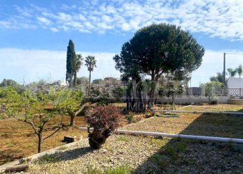 IMG-20250414-WA0033_risultato.jpg - Villa strada provinciale 361 0, Gallipoli - foto 17
