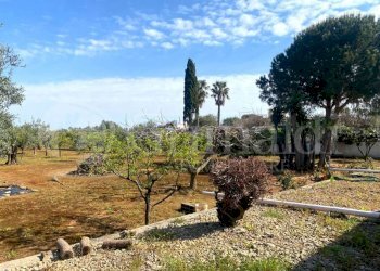IMG-20250414-WA0035_risultato.jpg - Villa strada provinciale 361 0, Gallipoli - foto 19