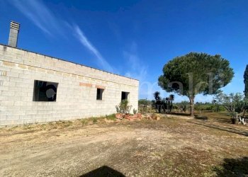 IMG-20250414-WA0043_risultato.jpg - Villa strada provinciale 361 0, Gallipoli - foto 22