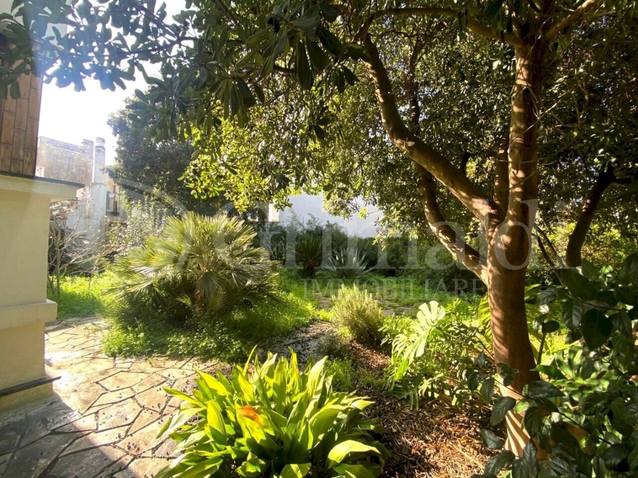 IMG-20250203-WA0013_risultato.jpg - Villa a Schiera VIA VERDI 0, Alezio - foto 2