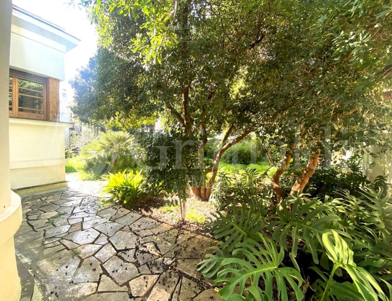 IMG-20250203-WA0015_risultato.jpg - Villa a Schiera VIA VERDI 0, Alezio - foto 3
