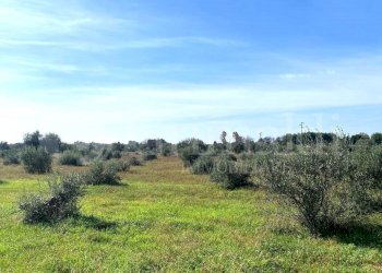 IMG-20241024-WA0082_risultato.jpg - Villa contrada tisciano 0, Tuglie - foto 18