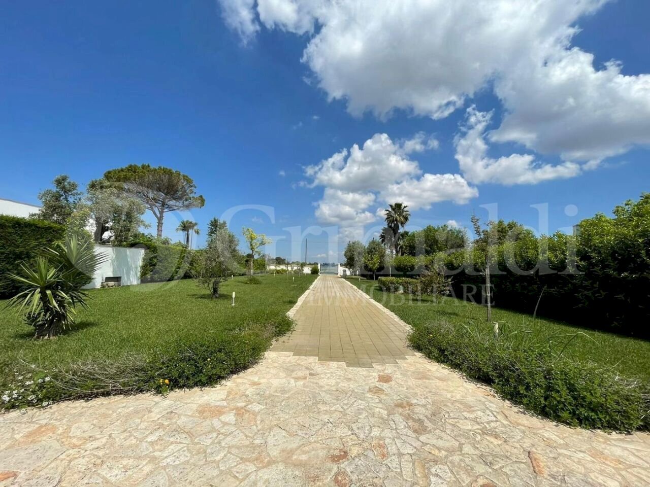 IMG-20240906-WA0005_risultato.jpg - Villa strada vicinale contrada pontuso 0, Matino - foto 2