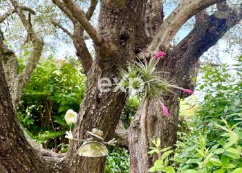 Villa Bifamiliare Via Noventa, San Donà di Piave - foto 8