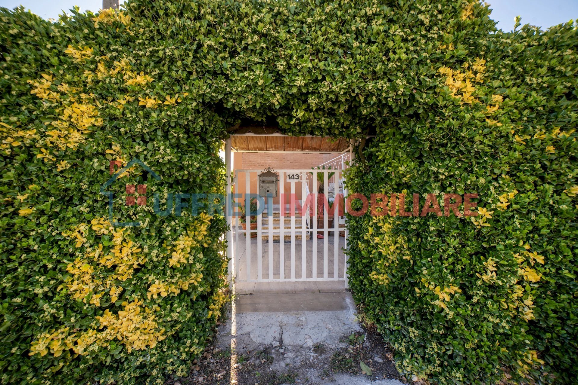 Casa indipendente Cisterna di Latina - foto 2