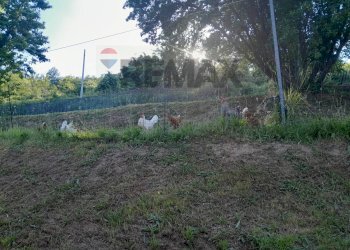 Villa Borghetto di Vara, SP, Borghetto di Vara - photo 24