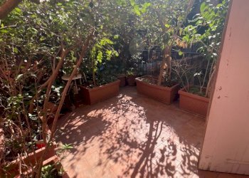 Three-room apartment Bologna (neighborhood Centro Storico) - photo 1