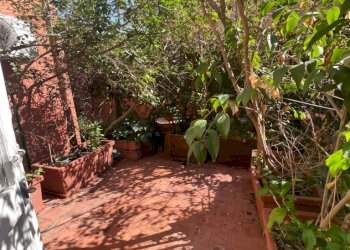 Three-room apartment Bologna (neighborhood Centro Storico) - photo 3