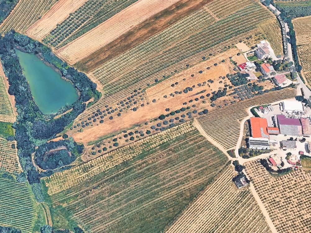 Foto 1 - Agricultural land Contrada San Biagio, Controguerra - photo 1