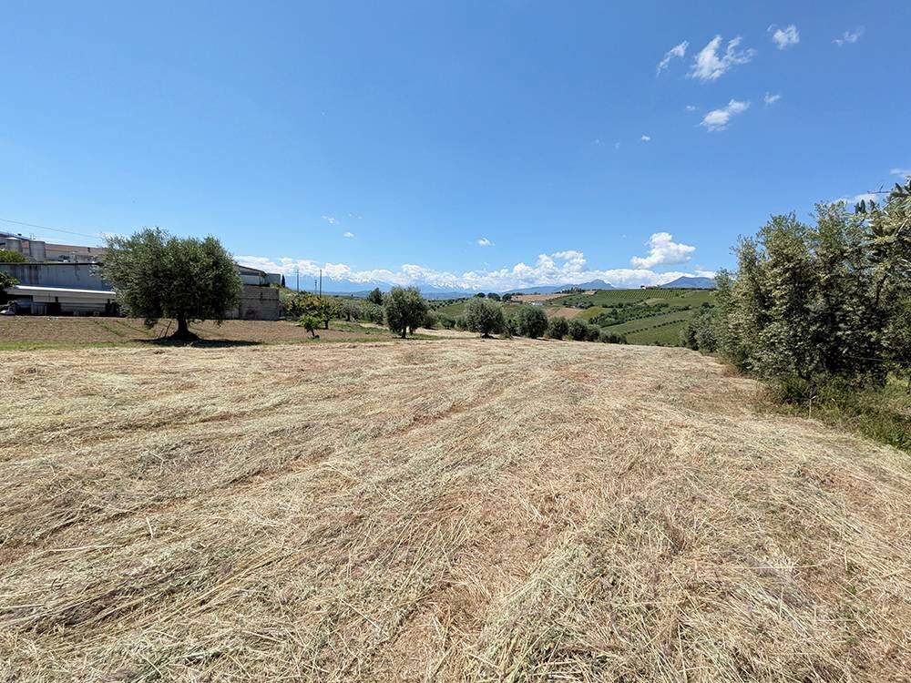 Foto 2 - Agricultural land Contrada San Biagio, Controguerra - photo 2