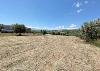 Foto 2 - Agricultural land Contrada San Biagio, Controguerra - photo 2