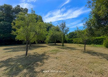 Foto 7 - Box oriolo romano, Canale Monterano - photo 7