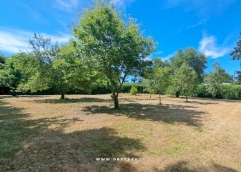Foto 4 - Agricultural land canale monterano - montevirginio, Canale Monterano - photo 4