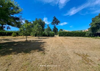 Foto 5 - Agricultural land canale monterano - montevirginio, Canale Monterano - photo 5