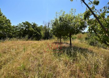 Foto 31 - Casa indipendente contrada magnola, Ripatransone - foto 31