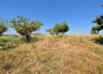 Foto 32 - Casa indipendente contrada magnola, Ripatransone - foto 32