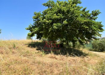 Foto 33 - Casa indipendente contrada magnola, Ripatransone - foto 33