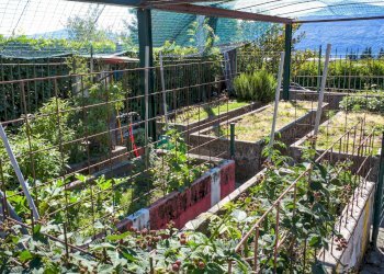 Giardino - Three-room apartment via Trieste
 
73, Brezzo di Bedero - photo 21