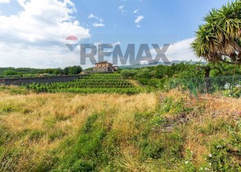 Giardino - Casa indipendente Via Vidalba
 
7, Castiglione di Sicilia - foto 15