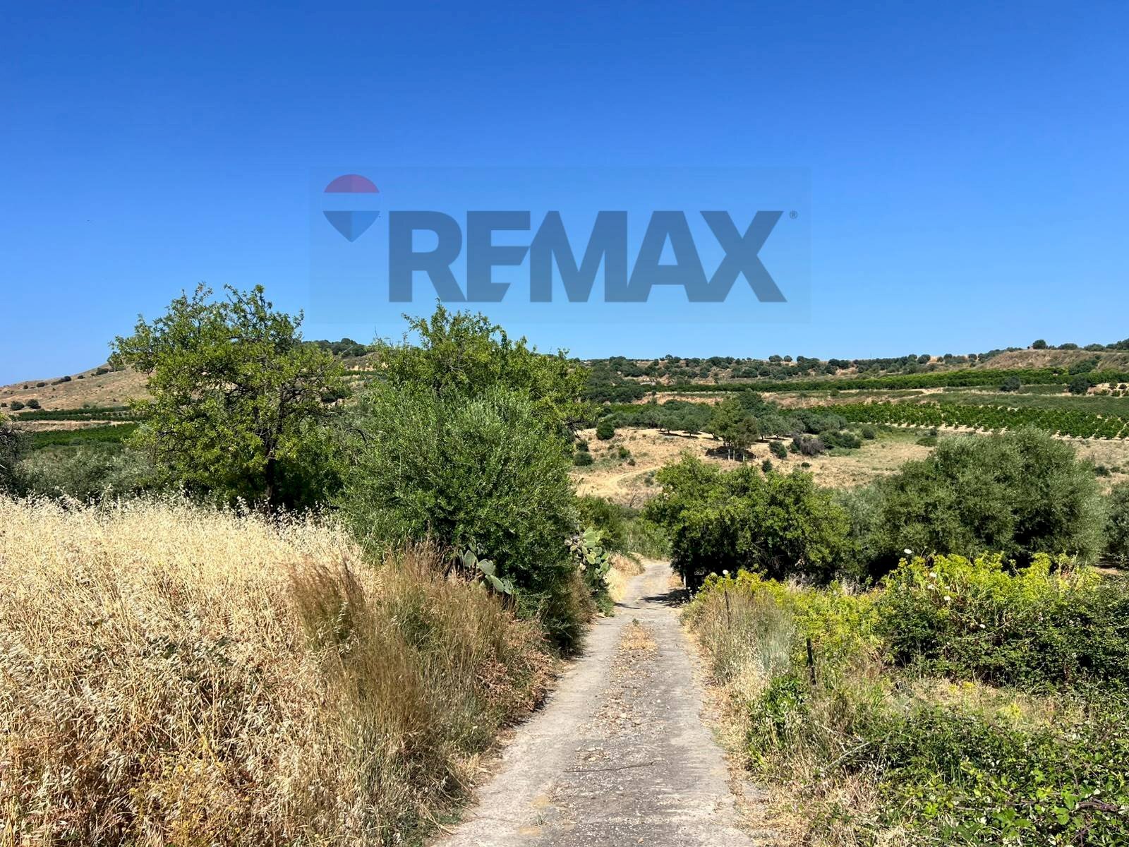 Vista delle montagne - Terreno agricolo viale carmine caruso
 
153, Motta Sant'Anastasia - foto 1