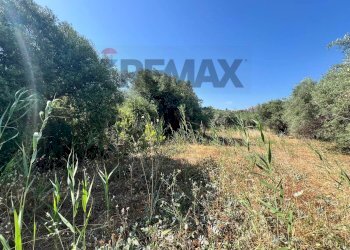 Vista delle montagne - Terreno agricolo viale carmine caruso
153, Motta Sant'Anastasia - foto 5