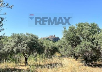 Giardino - Terreno agricolo viale carmine caruso
153, Motta Sant'Anastasia - foto 7
