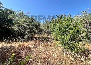 Giardino - Terreno agricolo viale carmine caruso
153, Motta Sant'Anastasia - foto 12