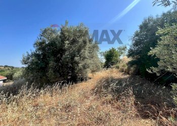Non correlato - Terreno agricolo viale carmine caruso
153, Motta Sant'Anastasia - foto 19