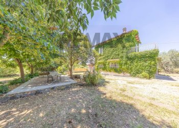 Giardino - Villa Via Fontana Candida
 
21, Monte Porzio Catone - foto 14