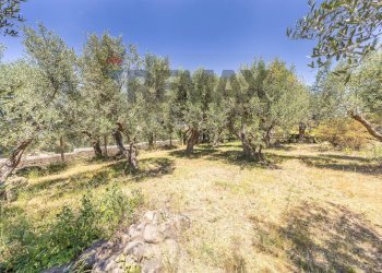 Giardino - Villa Via Fontana Candida
 
21, Monte Porzio Catone - foto 49