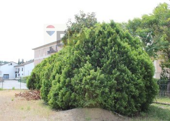Giardino - Villa via botticelli
 
3, Poggibonsi - foto 68