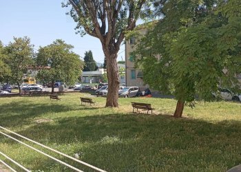 Giardino - Four-room apartment VIA GUERRAZZI
 
6, Empoli - photo 11