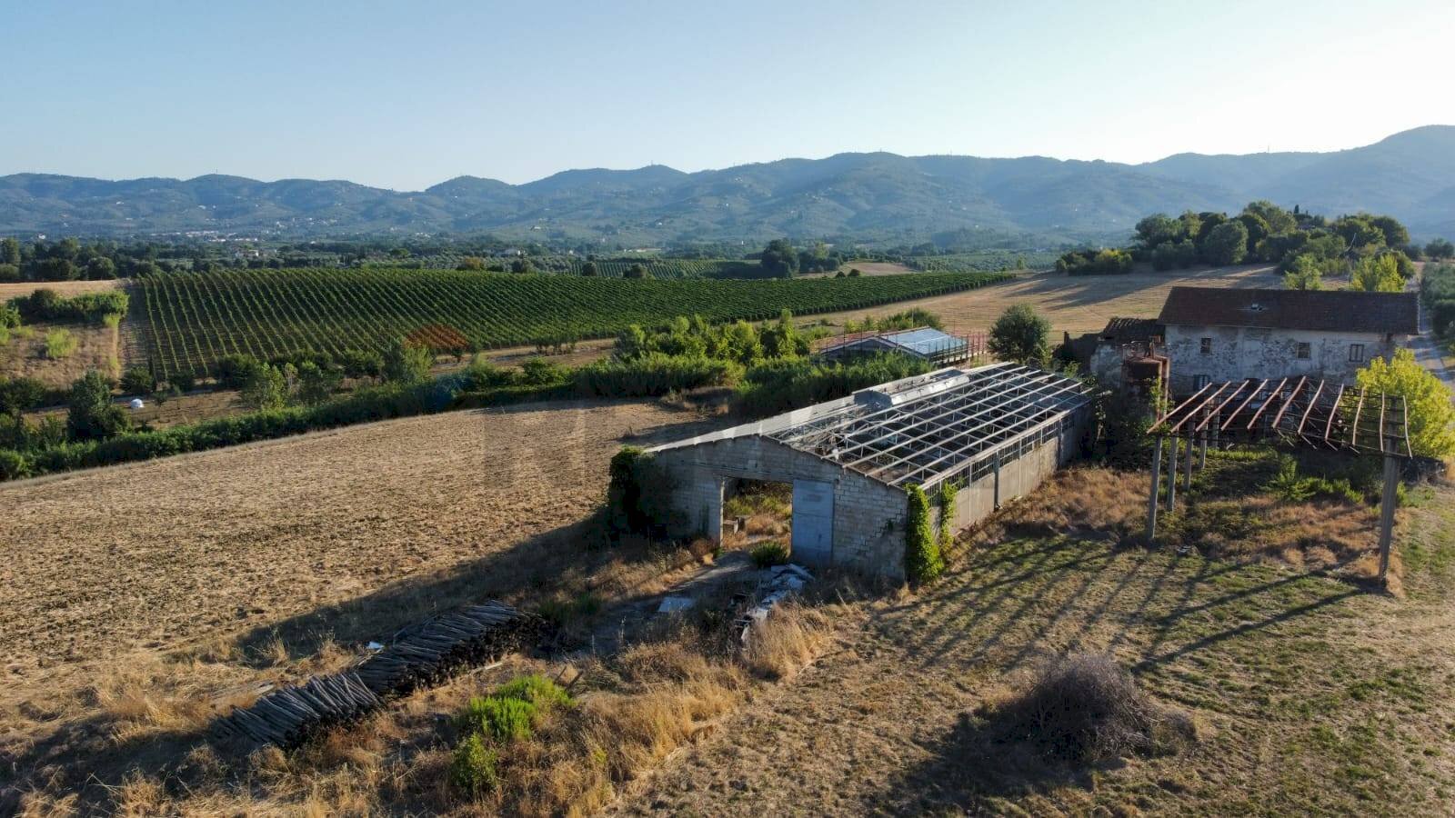 panoramica - Terreno agricolo Via San Pantaleo, Vinci - foto 2